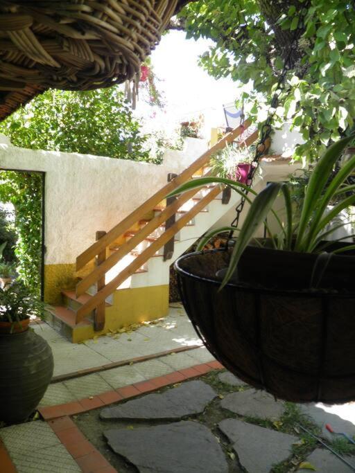 Atlantic Nest Poiares Holiday home Vila Nova de Poiares