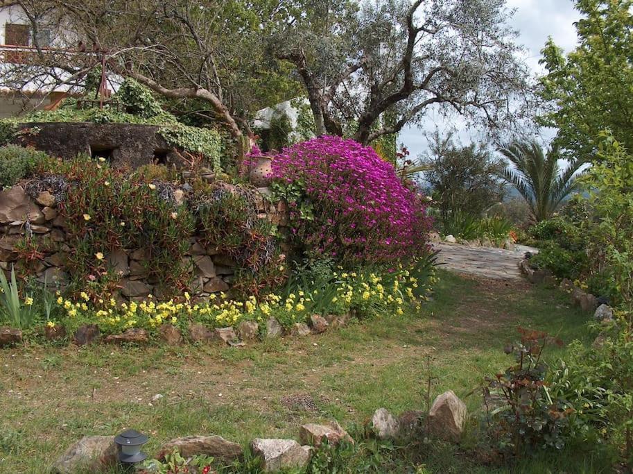 Holiday home Atlantic Nest Poiares *